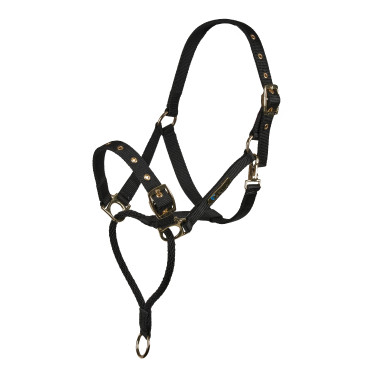 Capezzina di controllo equitazione Shires ARMA | Equi-Clic
