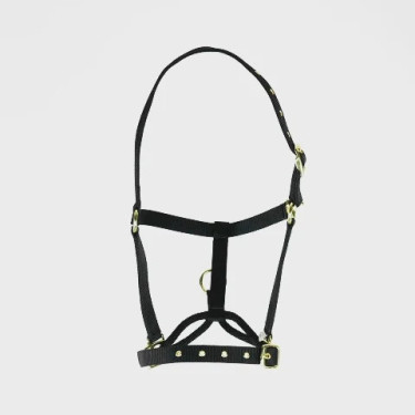 Capezzina di controllo equitazione Shires ARMA | Equi-Clic