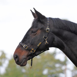 Capezzina di controllo equitazione Shires ARMA | Equi-Clic