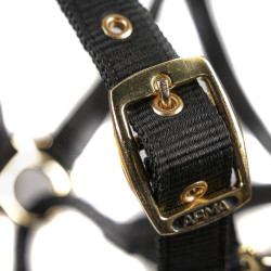 Capezzina di controllo equitazione Shires ARMA | Equi-Clic
