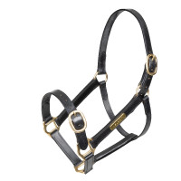 Capezza in cuoio completamente regolabile Shires Velociti Gara Nero
