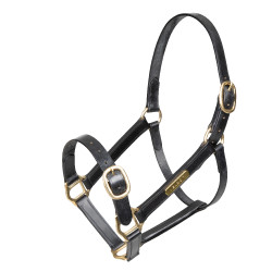 Capezza in cuoio completamente regolabile Shires Velociti Gara Nero