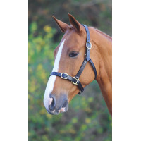 Capezza in cuoio completamente regolabile Shires Velociti Gara Nero
