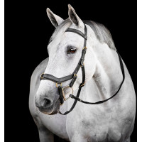 Briglia Horseware Micklem® Multi