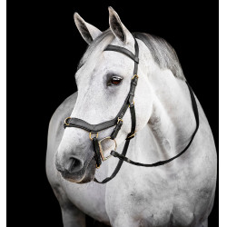 Briglia Horseware Micklem® Multi