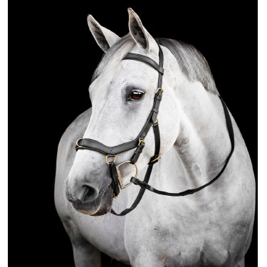 Briglia Horseware Micklem® Multi