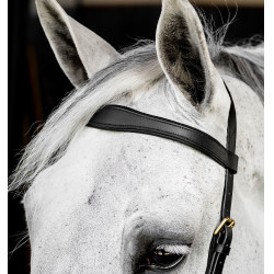 Briglia Horseware Micklem® Multi