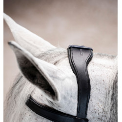 Briglia Horseware Micklem® Multi