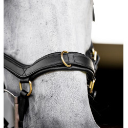 Briglia Horseware Micklem® Multi