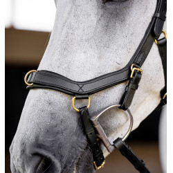 Briglia Horseware Micklem® Multi