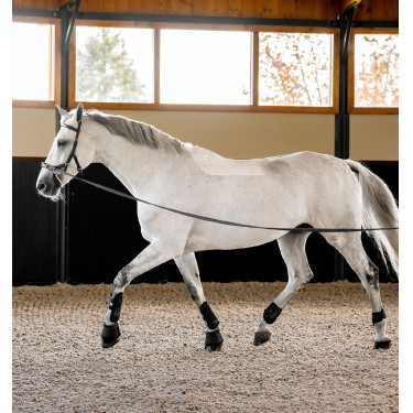 Briglia Horseware Micklem® Multi