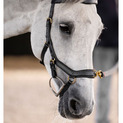 Briglia Horseware Micklem® Multi
