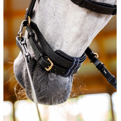 Briglia Horseware Micklem® Multi