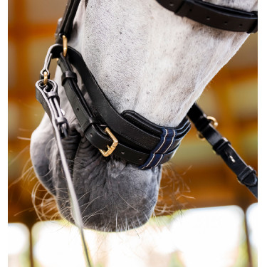 Briglia Horseware Micklem® Multi