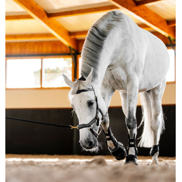 Briglia Horseware Micklem® Multi