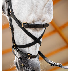 Briglia Horseware Micklem® Multi