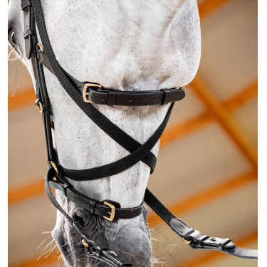 Briglia Horseware Micklem® Multi