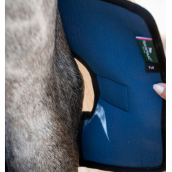 Ghette per garretti Horseware Ionic Therapy