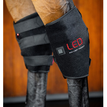 Paraginocchiere terapeutiche a luce LED rossa per garretti Horseware® Paio