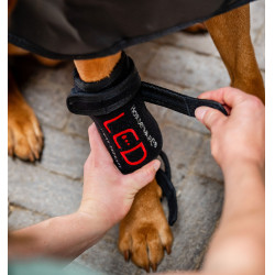 Fasce terapeutiche a LED a luce rossa per le zampe degli animali domestici Horseware Paio
