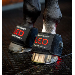Mini fasce per terapia a luce rossa LED Horseware Confezione da 4