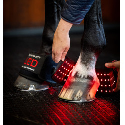 Mini fasce per terapia a luce rossa LED Horseware Confezione da 4