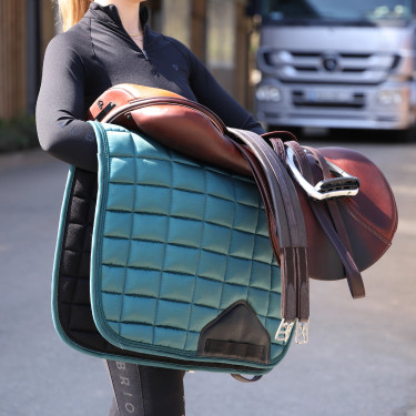 Sottosella Eltar Satin Shires Arma Verde