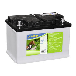 Batteria umida speciale 12 volt Kerbl