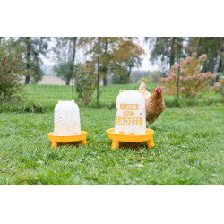 Abbeveratoio in plastica con motivo Ladies