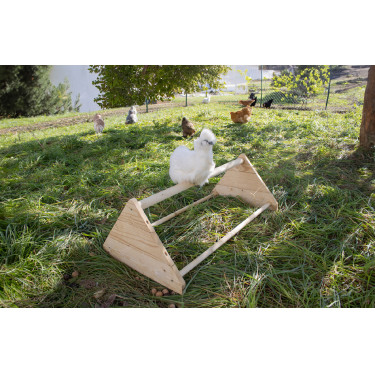 Posatoio per galline Posatoio per galline