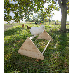 Posatoio per galline Posatoio per galline