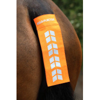 Cinghia di coda Shires Equi-Flector® Arancione vivace