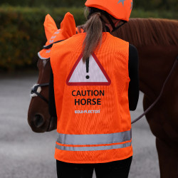 Gilet alta visibilità equitazione Shires Equi-Flector
