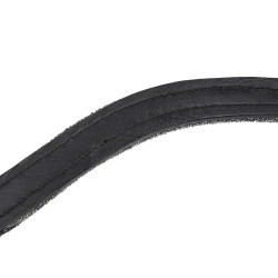 Frontalino equitazione con micro strass Shires Velociti