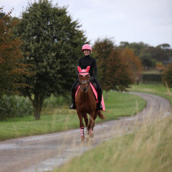 Cap Shires Equi-Flector® Rosa brillante Cap Shires Equi-Flector® Rosa brillante