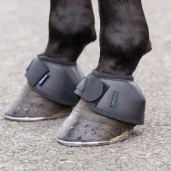 Stivaletti campanelle equitazione Shires ARMA NX‑MAX+
