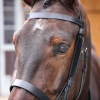 Paraocchi in pelle Shires Velociti Gara Nero