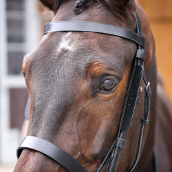 Paraocchi in pelle per cavallo Shires Velociti Gara