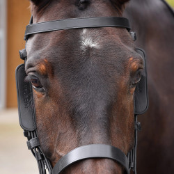 Paraocchi in pelle per cavallo Shires Velociti Gara