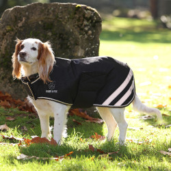 Cappotto impermeabile per cani equitazione | Shires Cappotto impermeabile per cani equitazione | Shires
