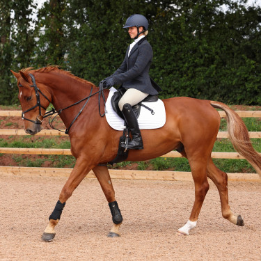 Giacca Saratoga Shires Aubrion Quadri ginepro blu navy Motivi Giacca Saratoga Shires Aubrion Quadri ginepro blu navy Motivi