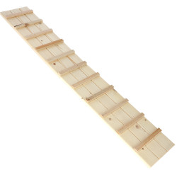 Scala per pollaio