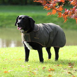Cappotto cerato cane Shires Digby & Fox | Equitazione