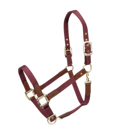 Capezza da equitazione Shires ARMA Porto | Equi‑clic