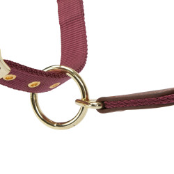 Capezza da equitazione Shires ARMA Porto | Equi‑clic