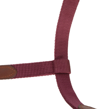 Capezza da equitazione Shires ARMA Porto | Equi‑clic