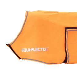 Cappotto cane alta visibilità equitazione | Equi-Clic