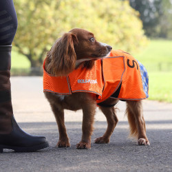 Cappotto cane alta visibilità equitazione | Equi-Clic