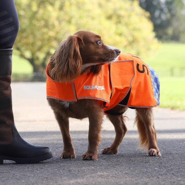 Cappotto cane alta visibilità equitazione | Equi-Clic