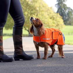 Cappotto cane alta visibilità equitazione | Equi-Clic